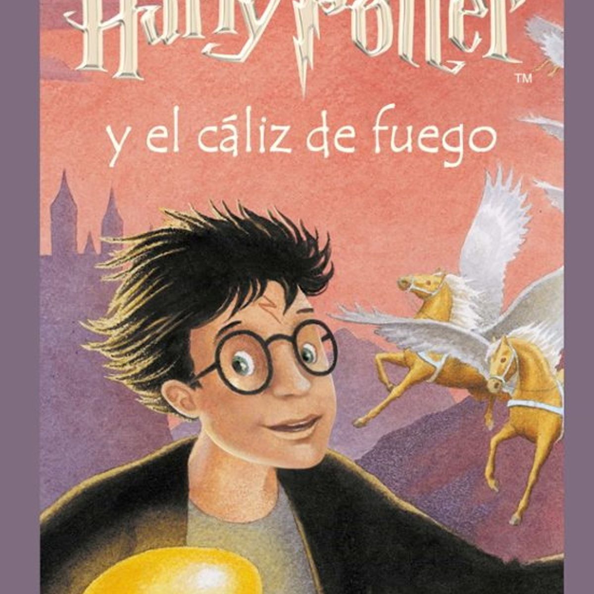 ANTARTICA LIBROS - Harry Potter Y El Caliz De Fuego 4 TD