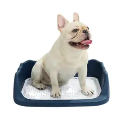 GENERICO - Bandeja Sanitaria Mascotas Baño De Gato Perros Hermosos Baño