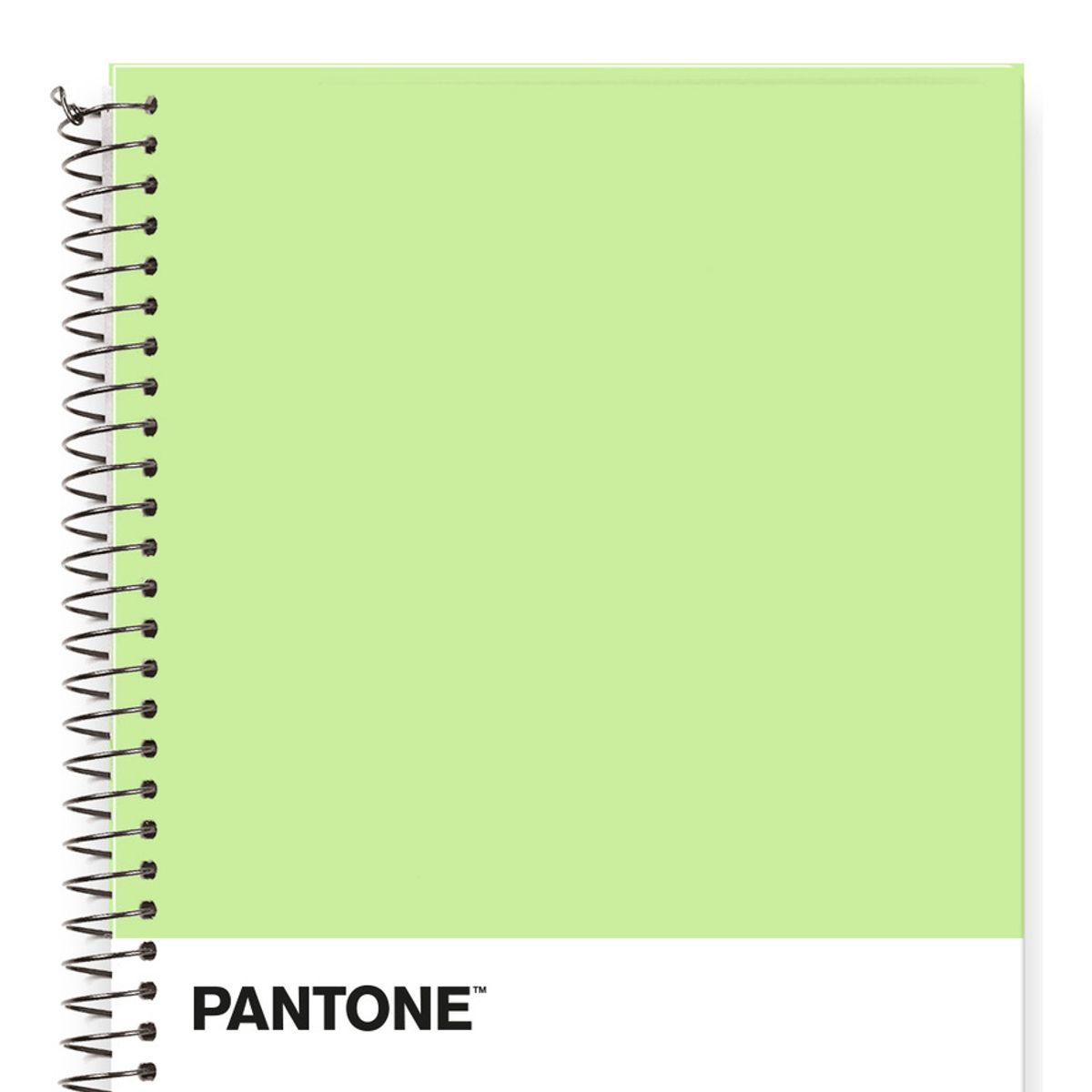 GENERICO - Pack 5 Cuadernos Premium Pantone Pastel 150 Hojas 21x17 Cm