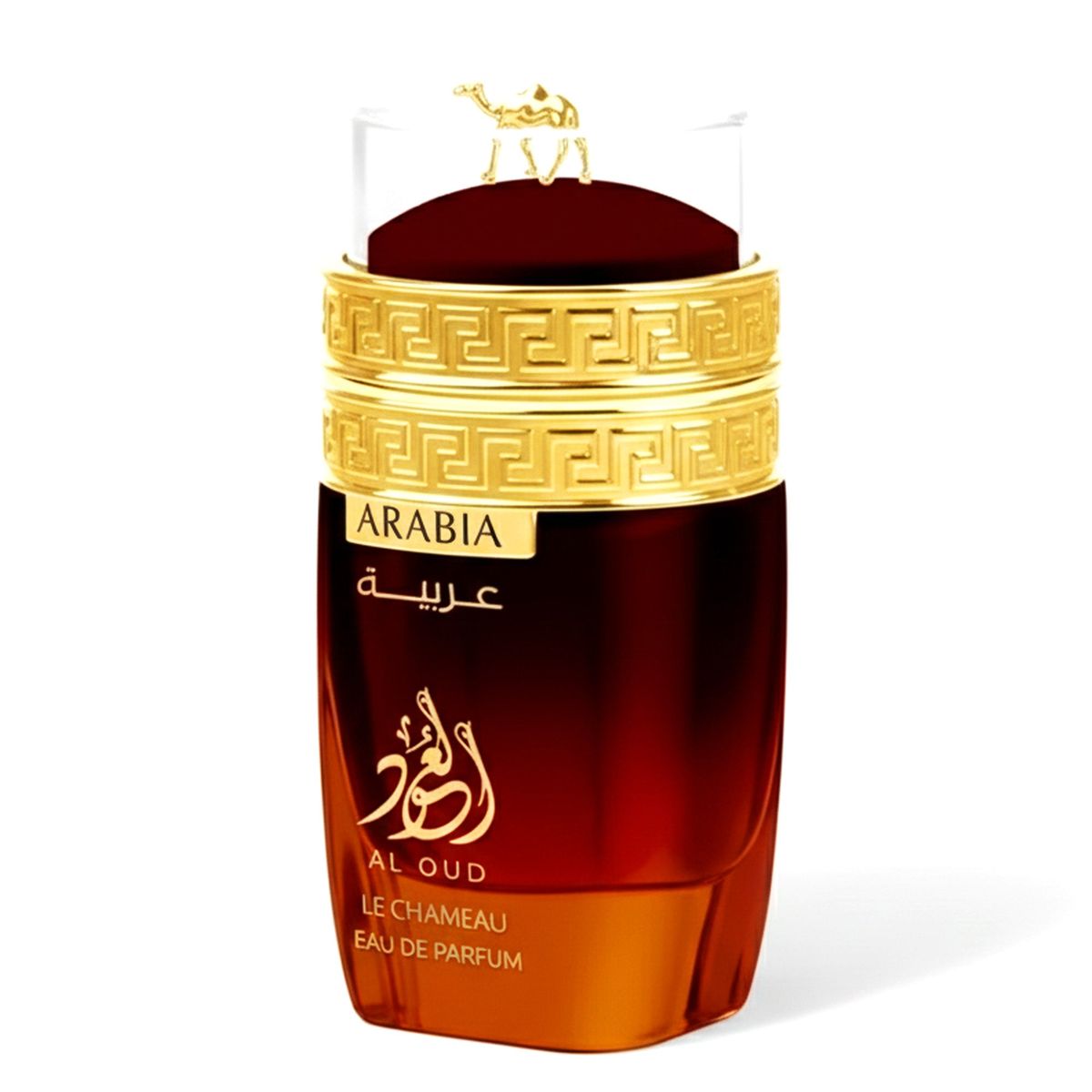 GENERICO - Le Chameau Arabia Al Oud Edp 100ml Unisex
