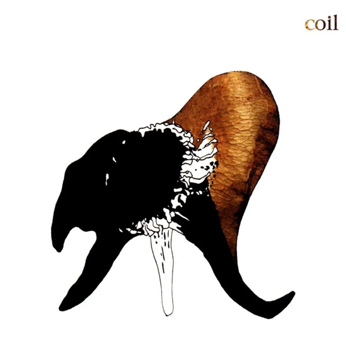 GENERICO - Coil - Black Antlers - CD