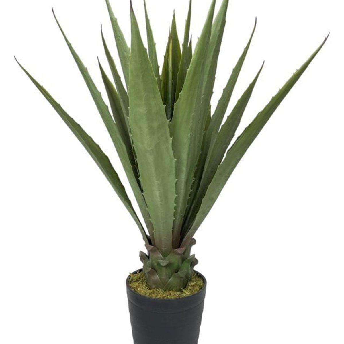 COREL - Agave Verde Acerrado de 98cm Artificial - Estilo Natural para Interiores y Vitrinas