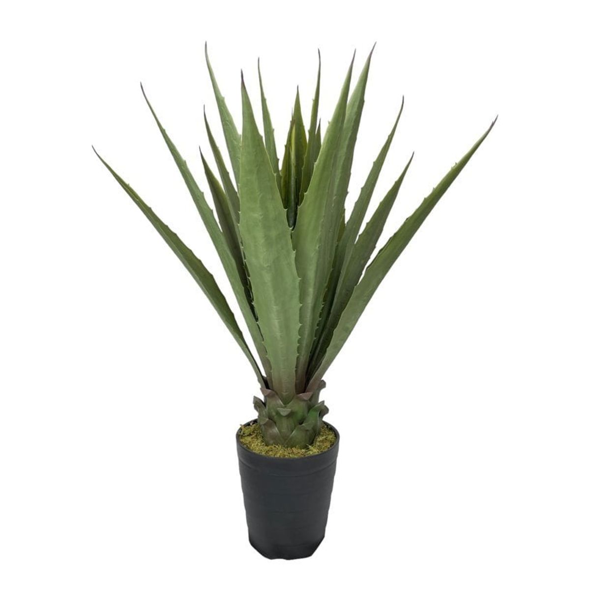 COREL - Agave Verde Acerrado de 98cm Artificial - Estilo Natural para Interiores y Vitrinas