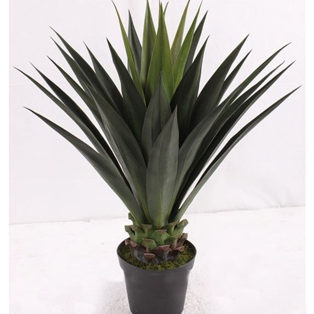 COREL - Agave Verde Acerrado de 98cm Artificial - Estilo Natural para Interiores y Vitrinas