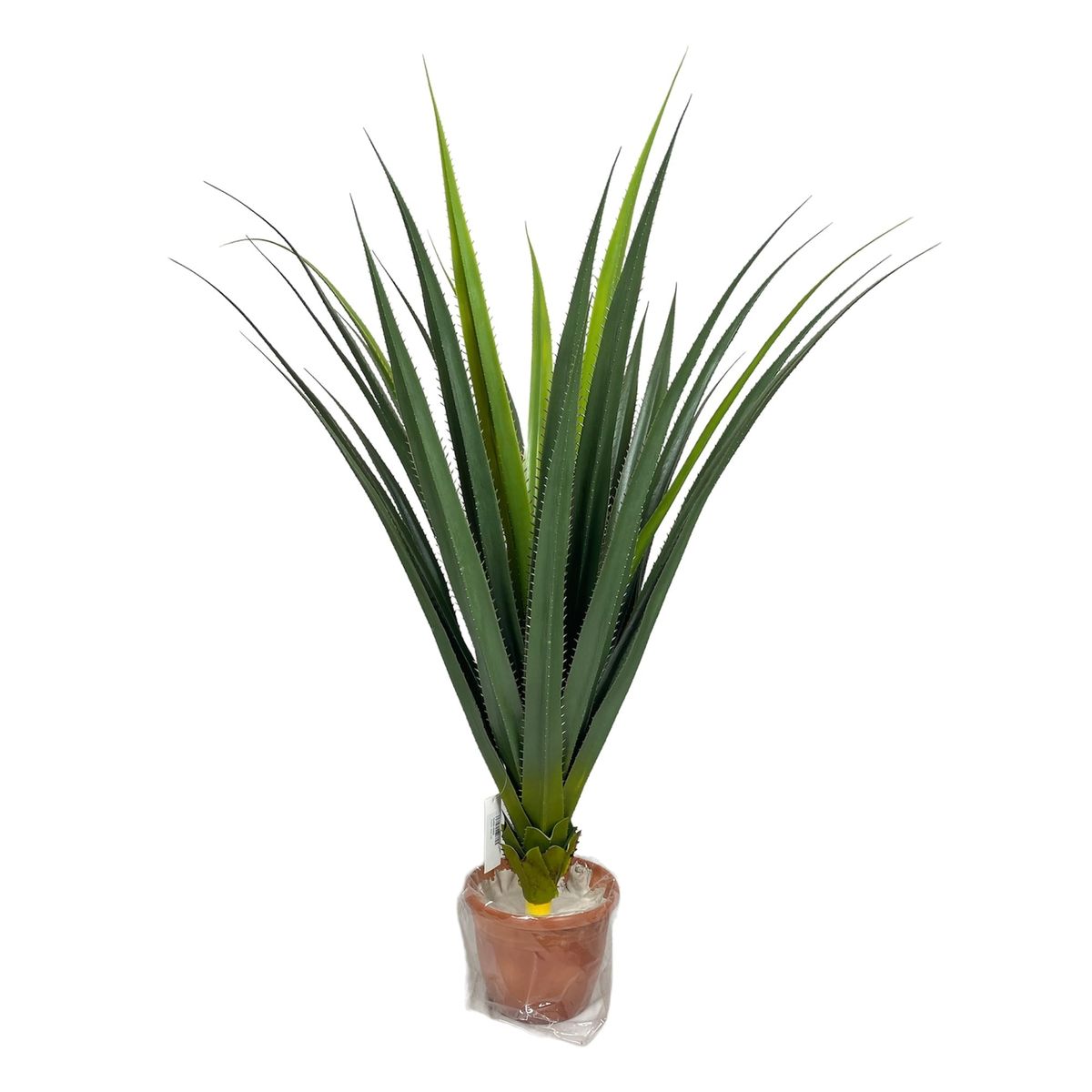 COREL - Agave Yuca 80cm Artificial - Estilo Natural para Interiores y Vitrinas