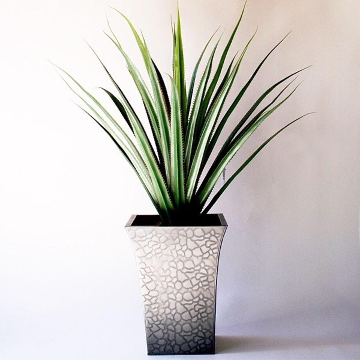 COREL - Agave Yuca 80cm Artificial - Estilo Natural para Interiores y Vitrinas