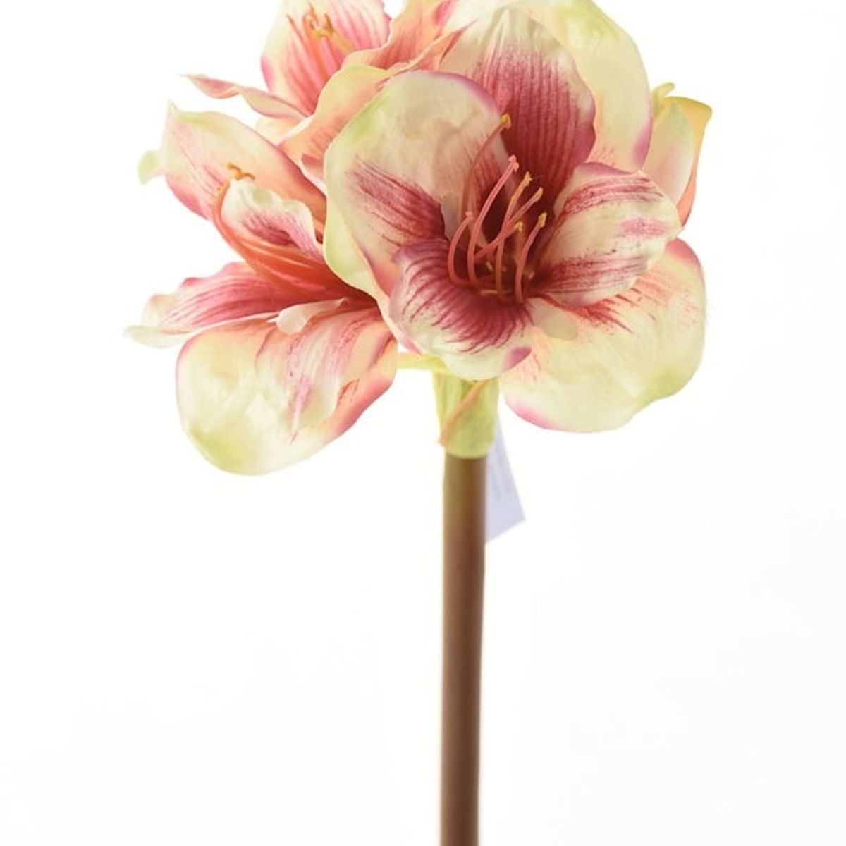 COREL - Amaryllis Rosa/Blanca 68cm Artificial - Estilo Natural para Interiores y Vitrinas