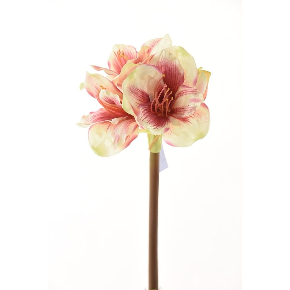 COREL - Amaryllis Rosa/Blanca 68cm Artificial - Estilo Natural para Interiores y Vitrinas
