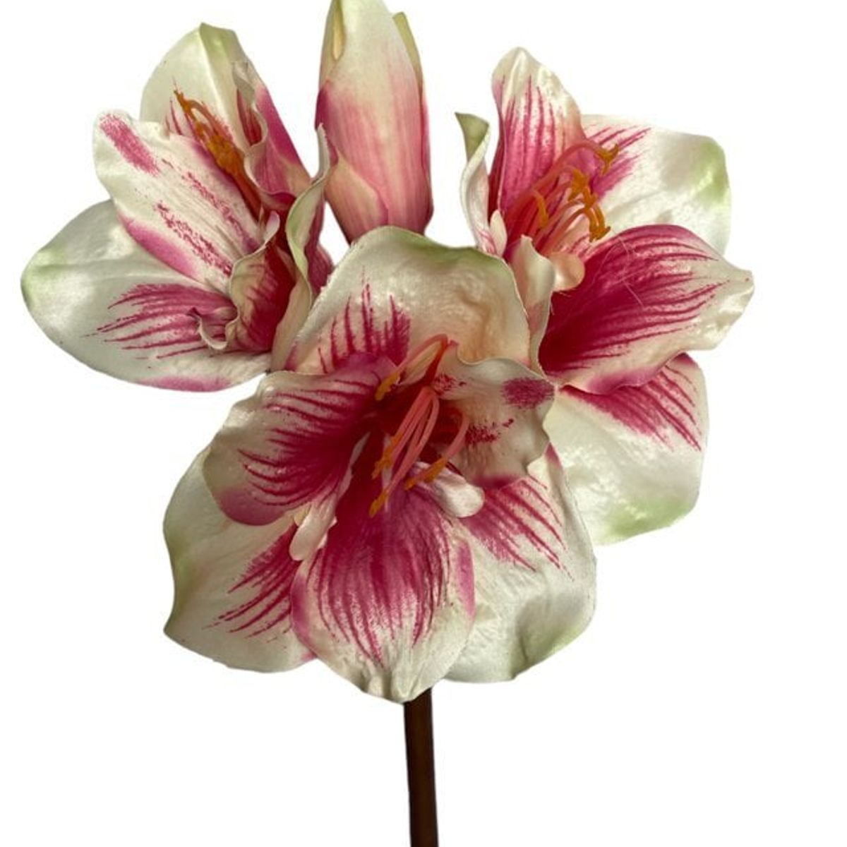 COREL - Amaryllis Rosa/Blanca 68cm Artificial - Estilo Natural para Interiores y Vitrinas
