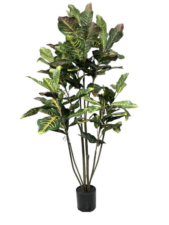 Arbol Artificial De Croton 120cm Artificial - Estilo Natural para Interiores y Vitrinas