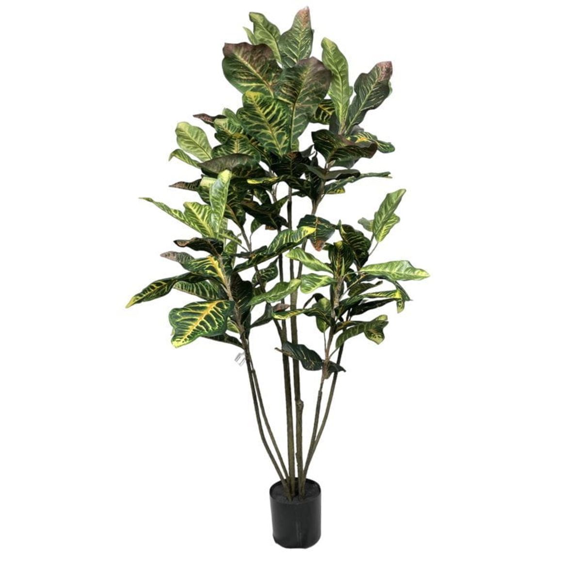 COREL - Árbol Artificial De Crotón 120cm Artificial - Estilo Natural para Interiores y Vitrinas