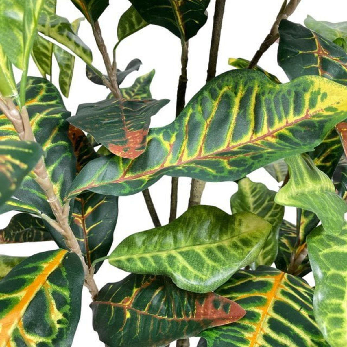 COREL - Árbol Artificial De Crotón 120cm Artificial - Estilo Natural para Interiores y Vitrinas