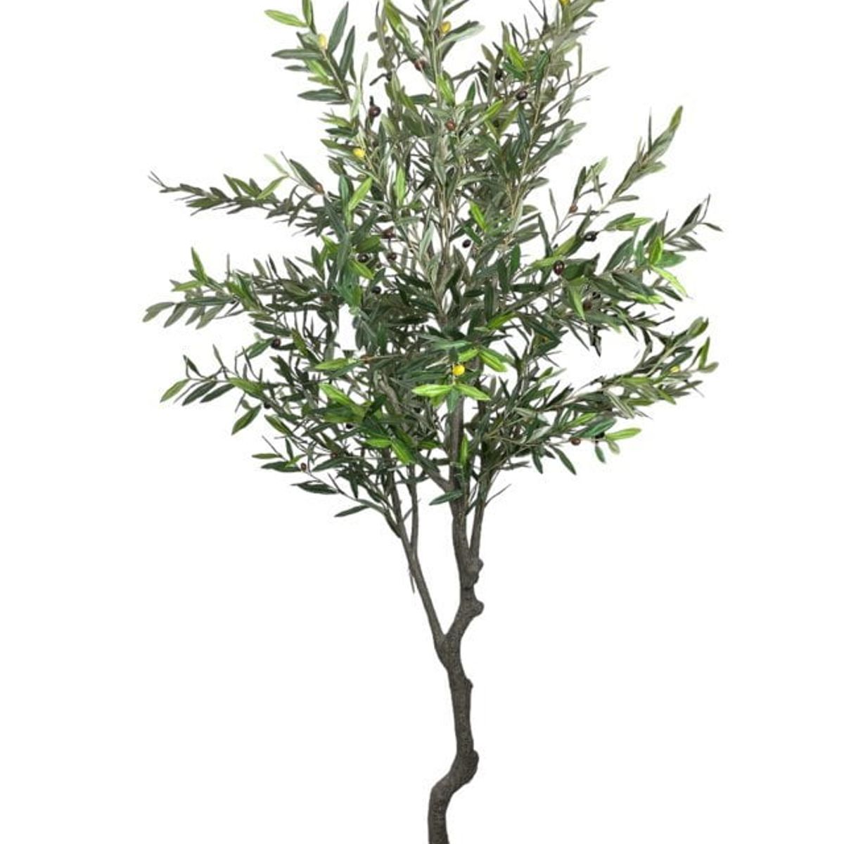 COREL - Árbol Artificial de Olivo 240cm Artificial - Estilo Natural para Interiores y Vitrinas