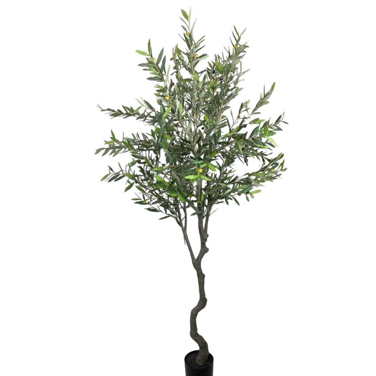 COREL - Árbol Artificial de Olivo 240cm Artificial - Estilo Natural para Interiores y Vitrinas