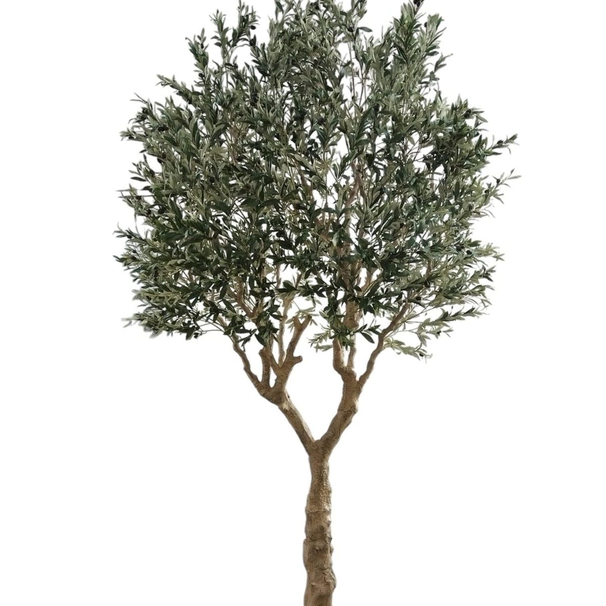 COREL - Árbol Artificial de Olivo 3 metros Artificial - Estilo Natural para Interiores y Vitrinas