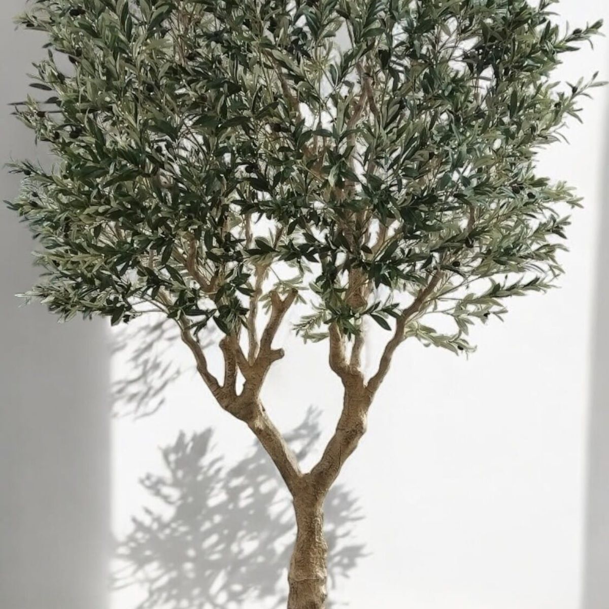 COREL - Árbol Artificial de Olivo 3 metros Artificial - Estilo Natural para Interiores y Vitrinas