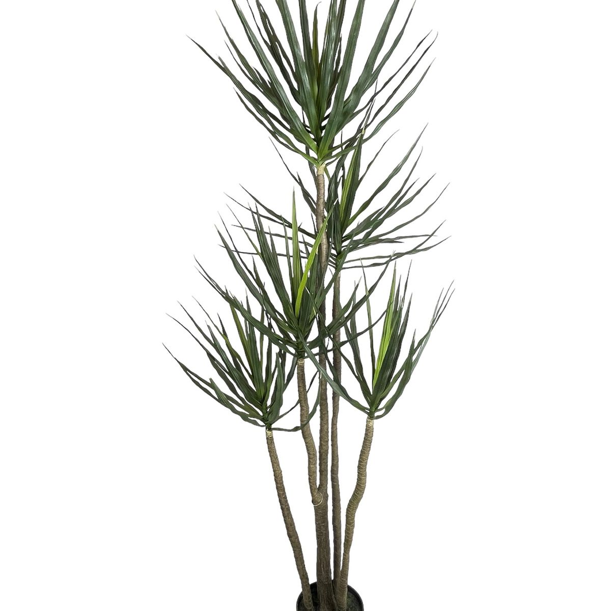 COREL - Árbol Artificial de Yuca 183cm Artificial - Estilo Natural para Interiores y Vitrinas
