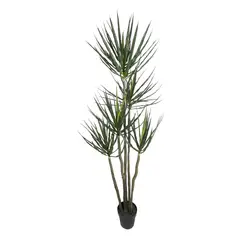COREL - Árbol Artificial de Yuca 183cm Artificial - Estilo Natural para Interiores y Vitrinas