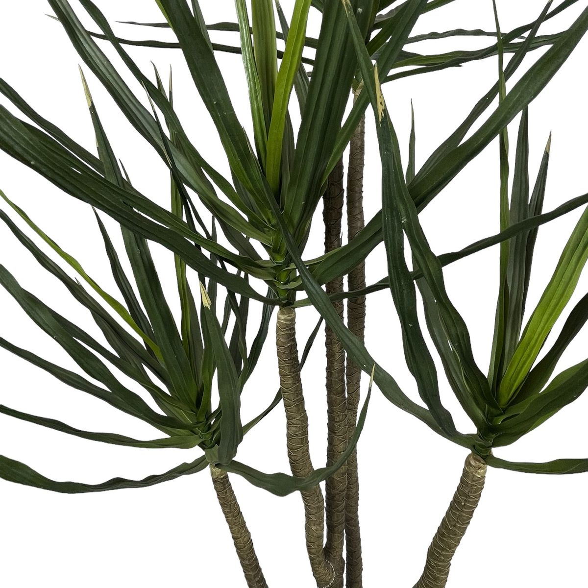 COREL - Árbol Artificial de Yuca 183cm Artificial - Estilo Natural para Interiores y Vitrinas