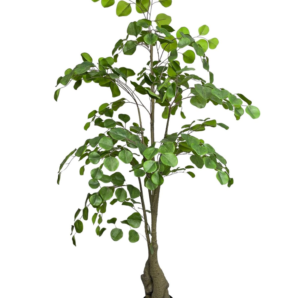 COREL - Árbol Artificial Eucalipto 150cm Artificial - Estilo Natural para Interiores y Vitrinas