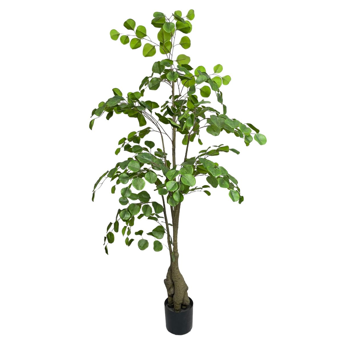 COREL - Árbol Artificial Eucalipto 150cm Artificial - Estilo Natural para Interiores y Vitrinas
