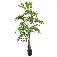 COREL - Árbol Artificial Eucalipto 150cm Artificial - Estilo Natural para Interiores y Vitrinas