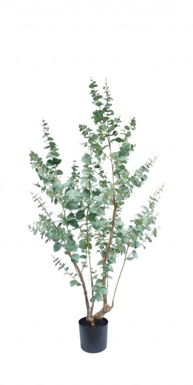 Arbol Artificial Eucalipto 180cm Artificial - Estilo Natural para Interiores y Vitrinas