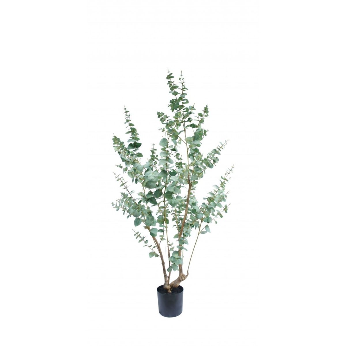 COREL - Árbol Artificial Eucalipto 180cm Artificial - Estilo Natural para Interiores y Vitrinas