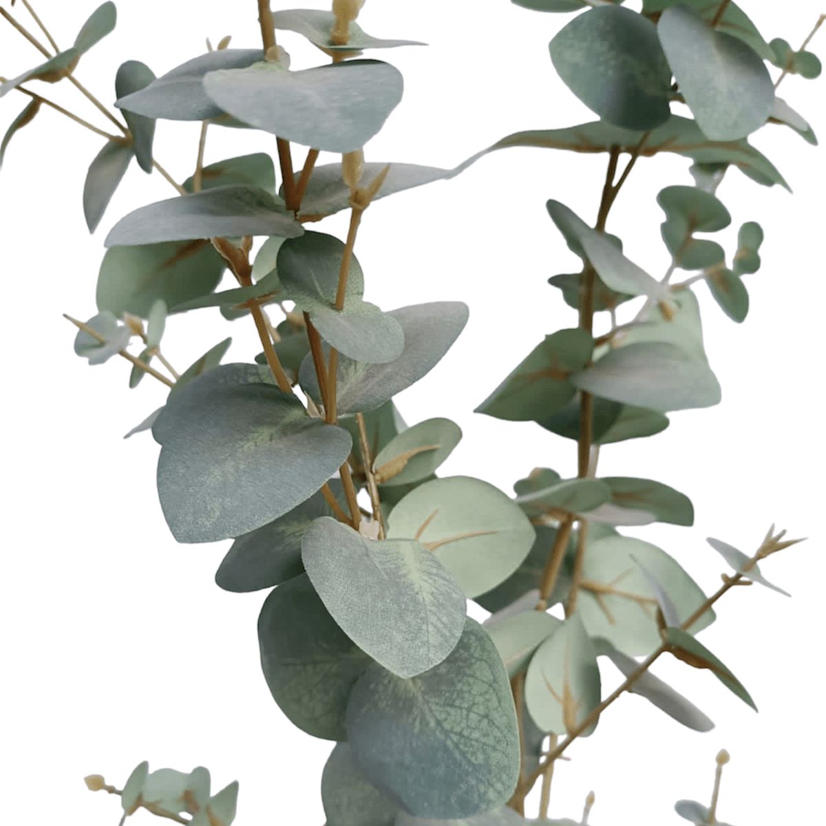 COREL - Árbol Artificial Eucalipto 180cm Artificial - Estilo Natural para Interiores y Vitrinas
