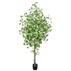 COREL - Árbol Artificial Ginko 180cm Artificial - Estilo Natural para Interiores y Vitrinas