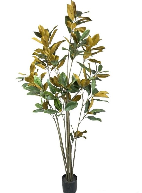 Arbol Artificial Magnolia Denudata 180cm Artificial - Estilo Natural para Interiores y Vitrinas