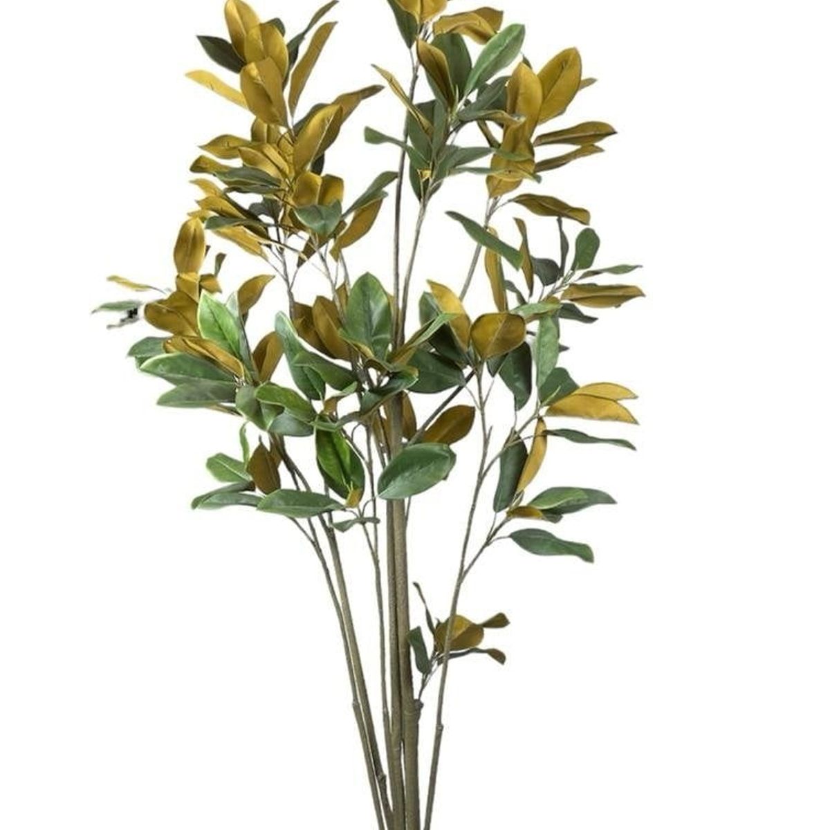 COREL - Árbol Artificial Magnolia Denudata 180cm Artificial - Estilo Natural para Interiores y Vitrinas