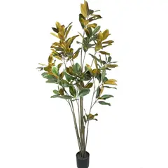 COREL - Árbol Artificial Magnolia Denudata 180cm Artificial - Estilo Natural para Interiores y Vitrinas
