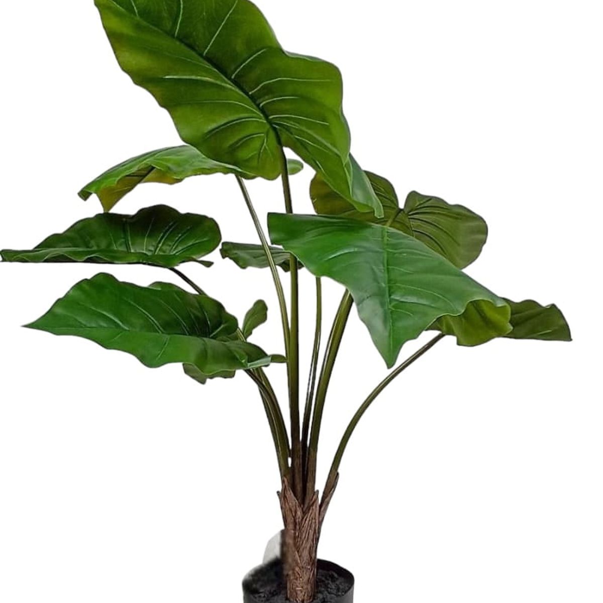 COREL - Árbol Artificial Manto de Eva 71cm Artificial - Estilo Natural para Interiores y Vitrinas