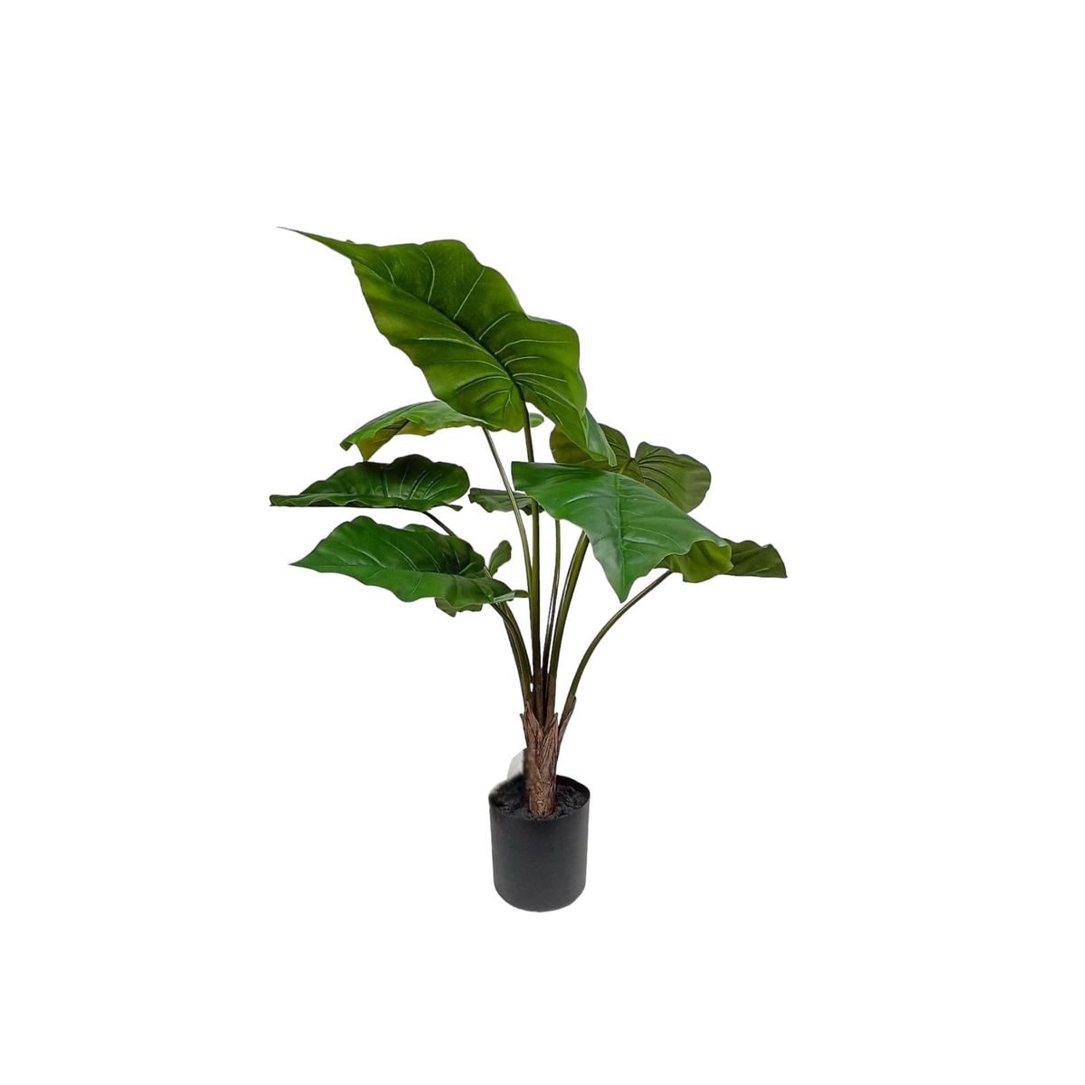 COREL - Árbol Artificial Manto de Eva 71cm Artificial - Estilo Natural para Interiores y Vitrinas