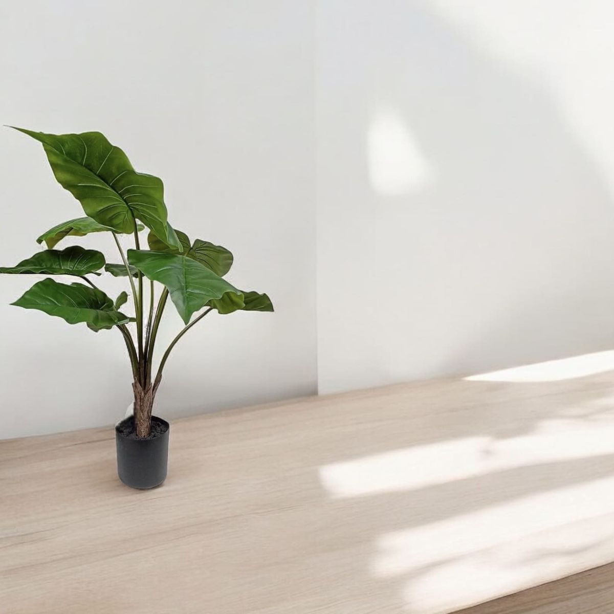 COREL - Árbol Artificial Manto de Eva 71cm Artificial - Estilo Natural para Interiores y Vitrinas