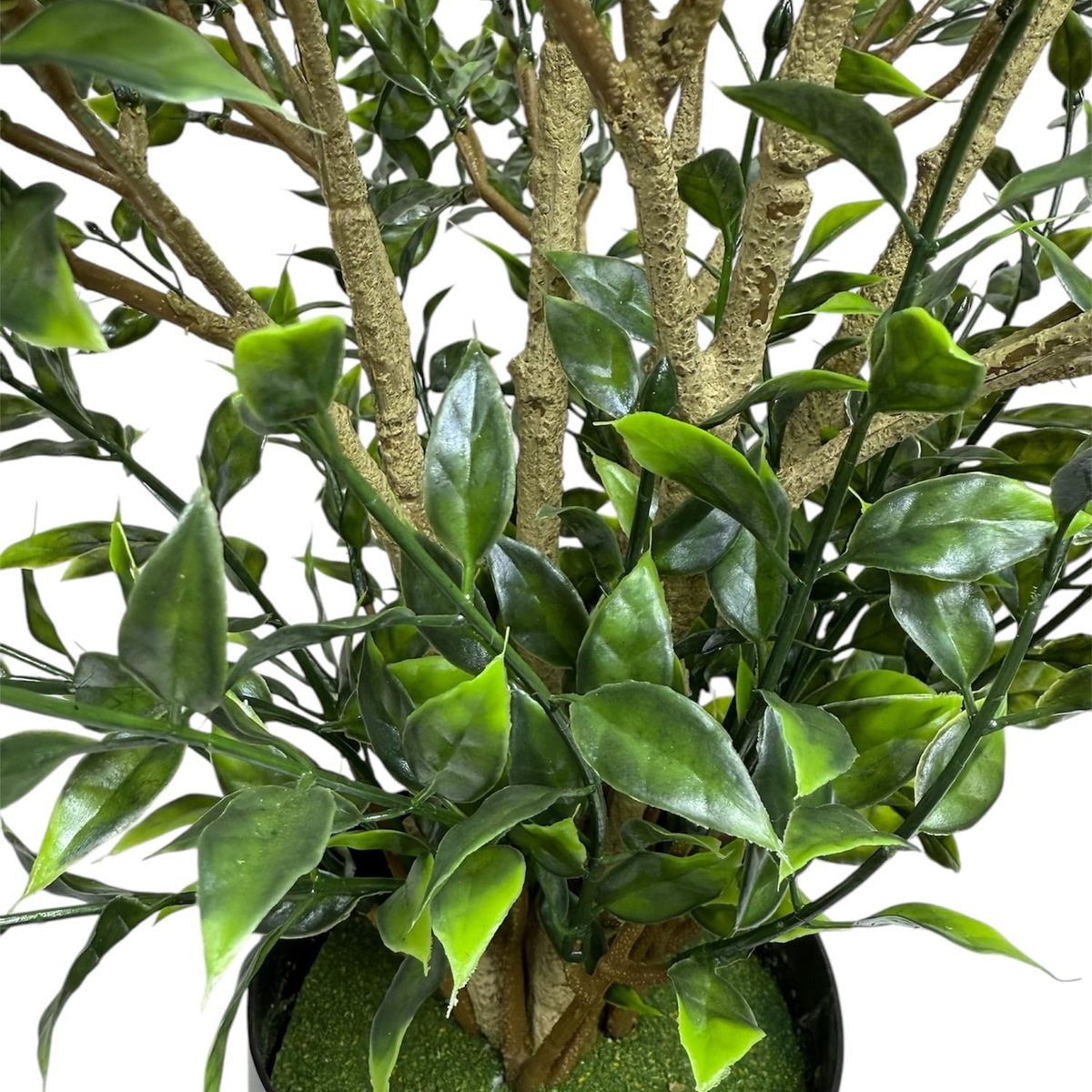 COREL - Arbusto Boxwood 76cm Artificial - Estilo Natural para Interiores y Vitrinas
