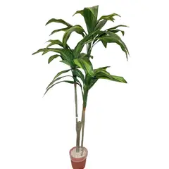 COREL - Arbusto Dracena 120cm Artificial - Estilo Natural para Interiores y Vitrinas