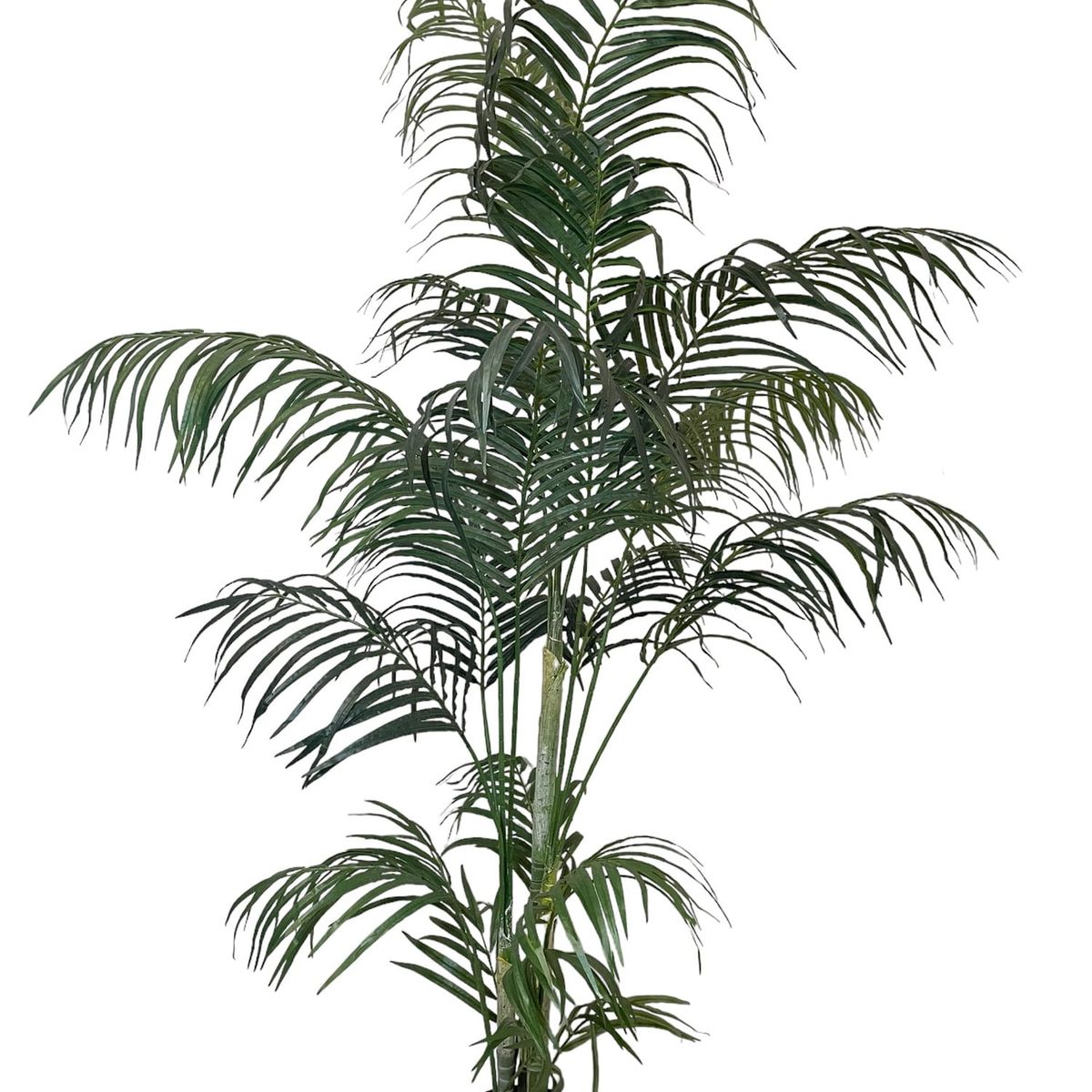 COREL - Areca 150cm Artificial - Estilo Natural para Interiores y Vitrinas