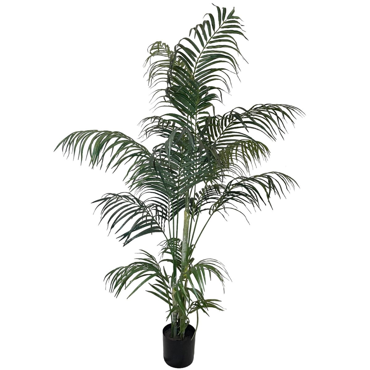COREL - Areca 150cm Artificial - Estilo Natural para Interiores y Vitrinas
