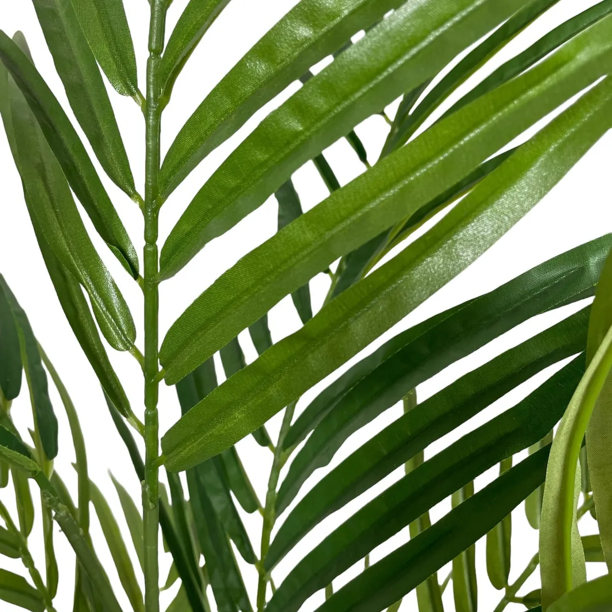 COREL - Areca 150cm Artificial - Estilo Natural para Interiores y Vitrinas