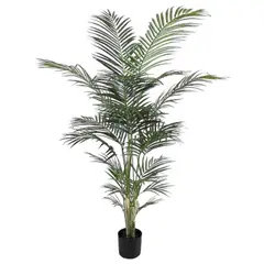 COREL - Areca 210cm Artificial - Estilo Natural para Interiores y Vitrinas