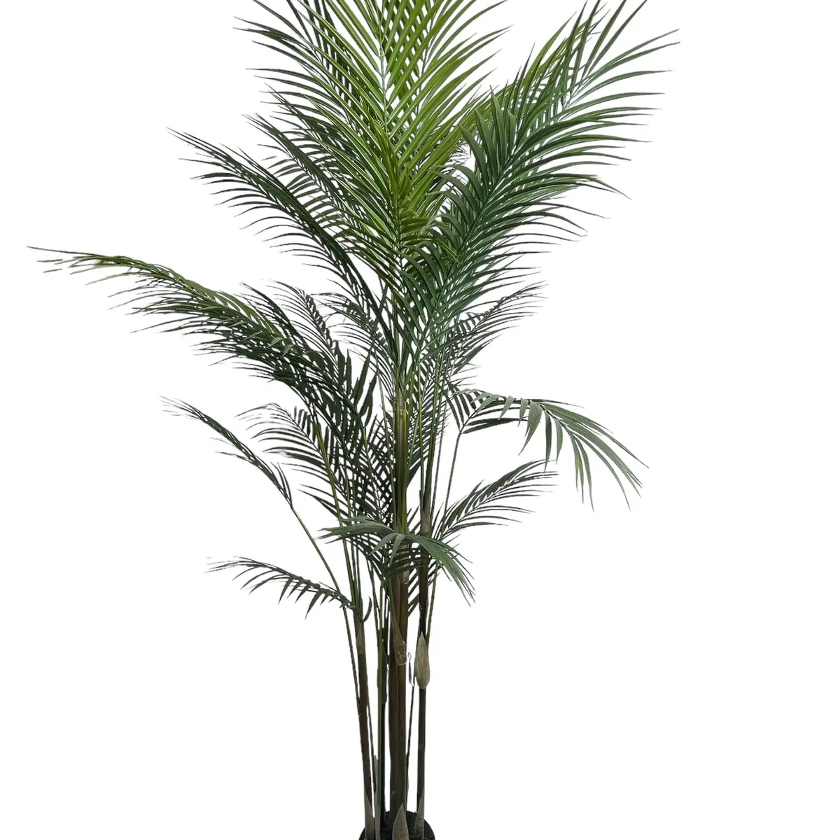 COREL - Areca Hoja Fina 150 cm Artificial - Estilo Natural para Interiores y Vitrinas