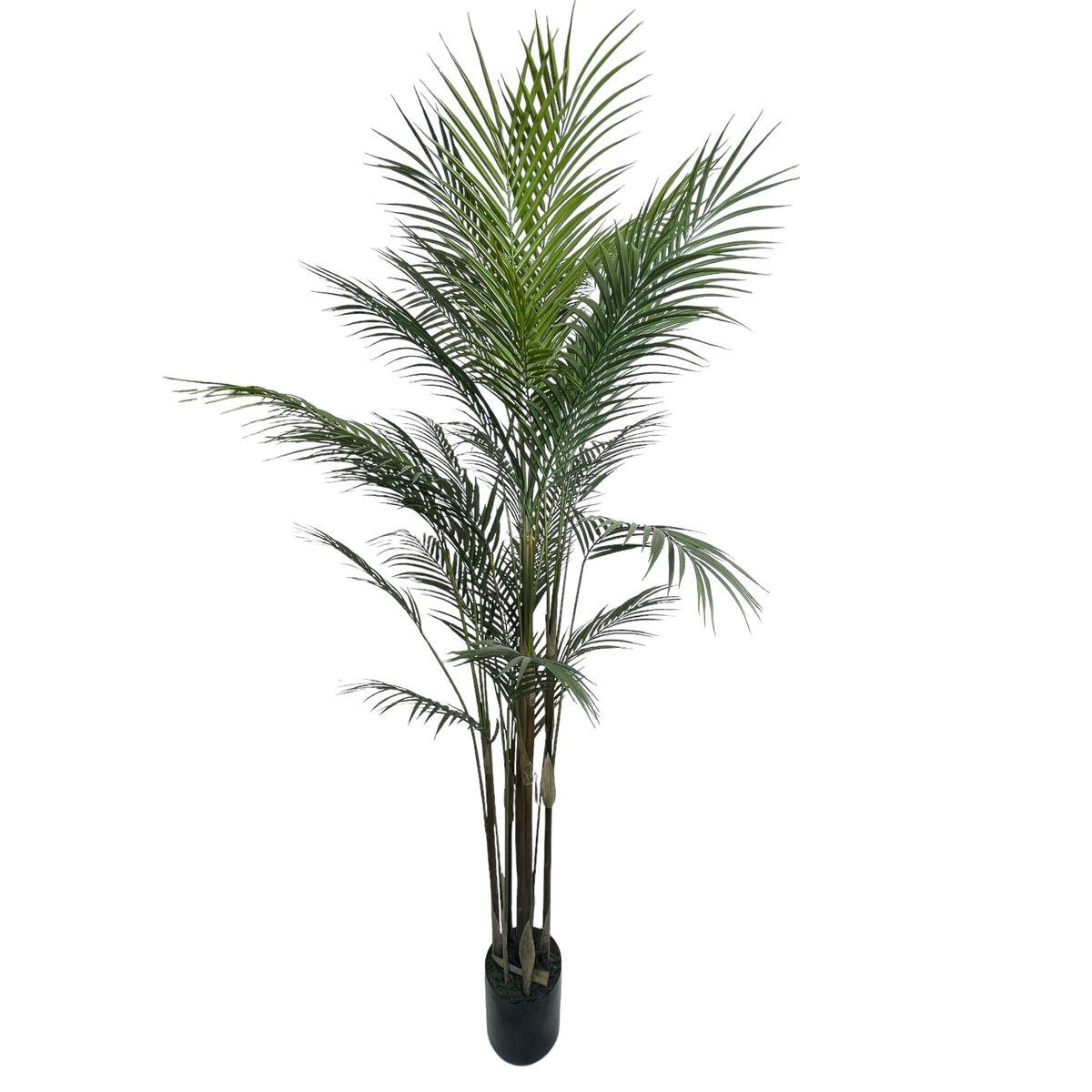 COREL - Areca Hoja Fina 150 cm Artificial - Estilo Natural para Interiores y Vitrinas