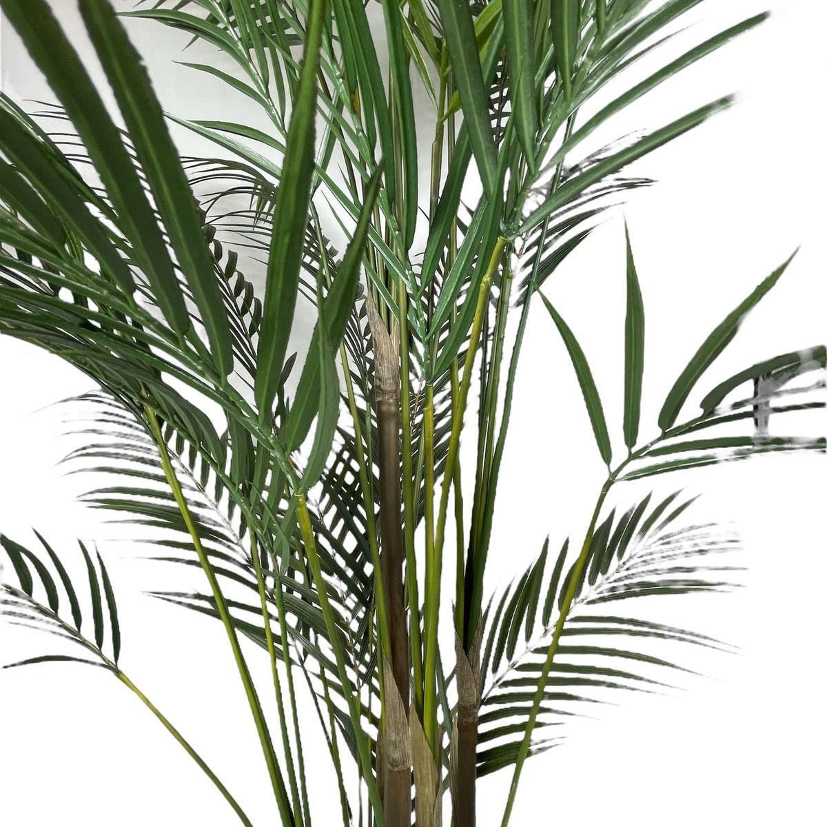 COREL - Areca Hoja Fina 150 cm Artificial - Estilo Natural para Interiores y Vitrinas
