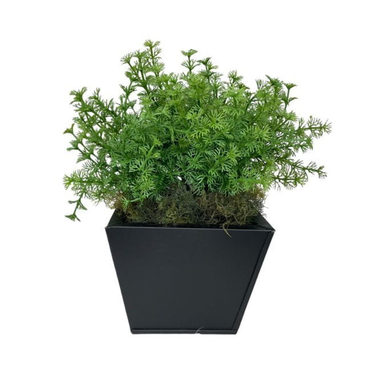 COREL - Arreglo De Arbusto Perejil 35cm Artificial - Estilo Natural para Interiores y Vitrinas