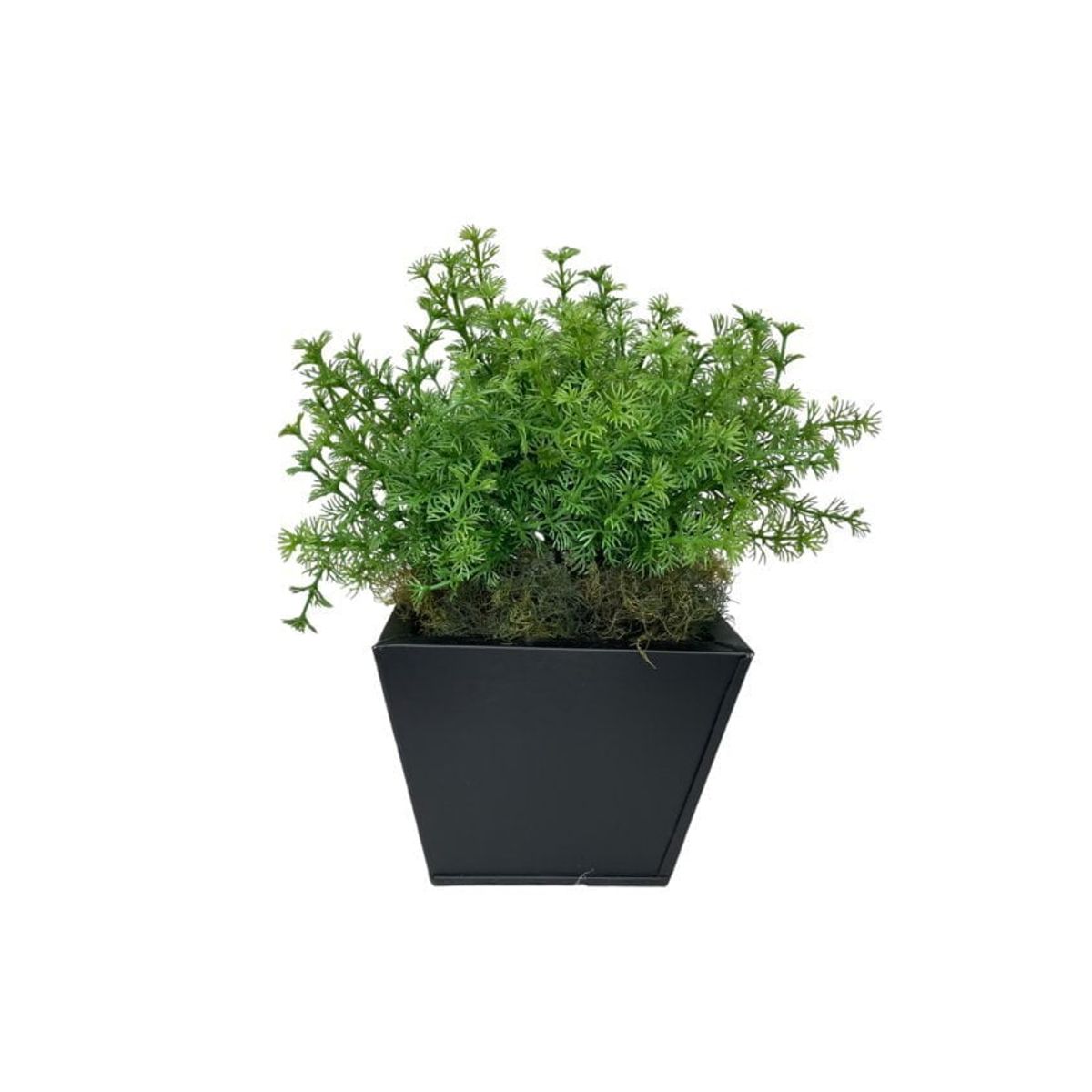 COREL - Arreglo De Arbusto Perejil 35cm Artificial - Estilo Natural para Interiores y Vitrinas