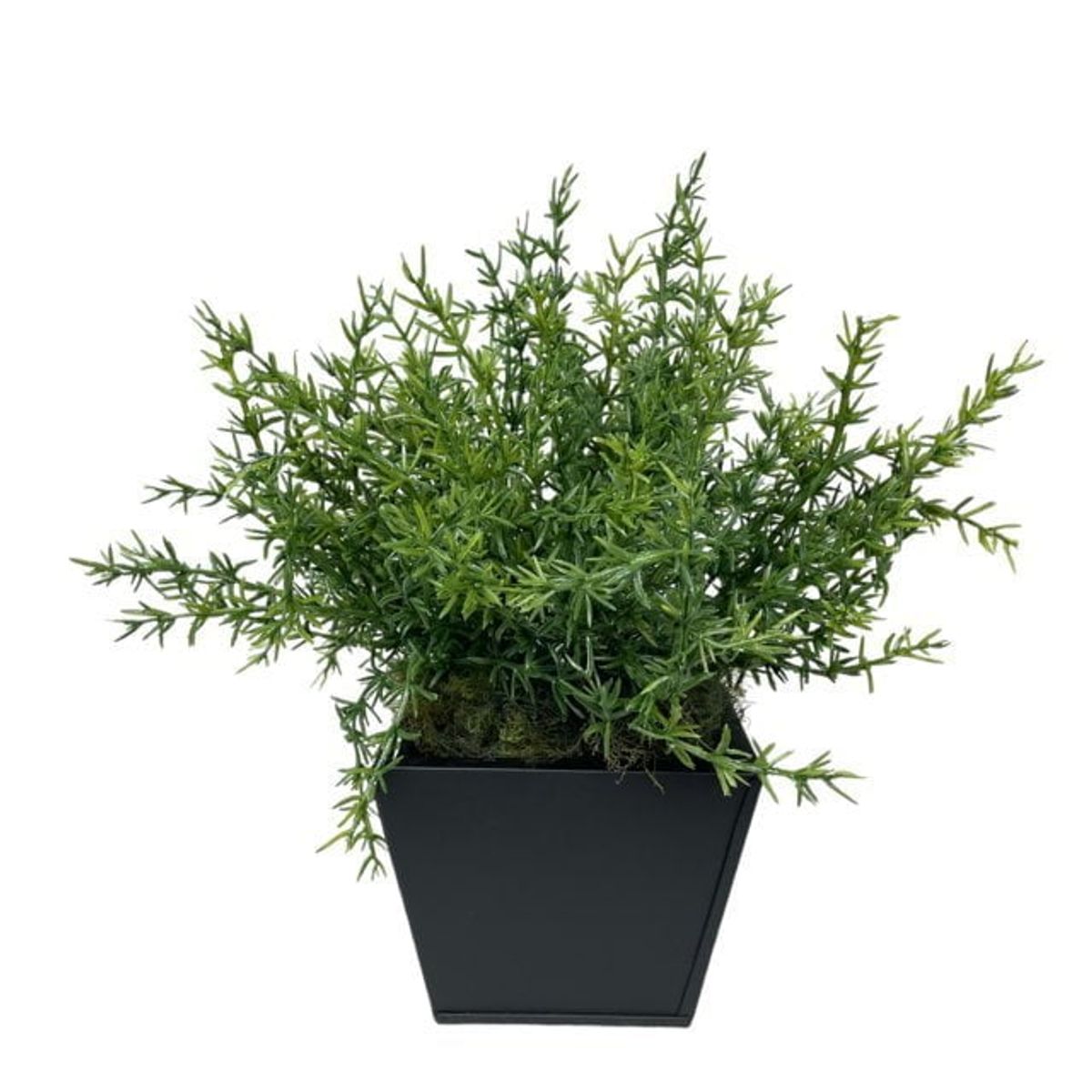 COREL - Arreglo De Arbusto Romero 35cm Artificial - Estilo Natural para Interiores y Vitrinas