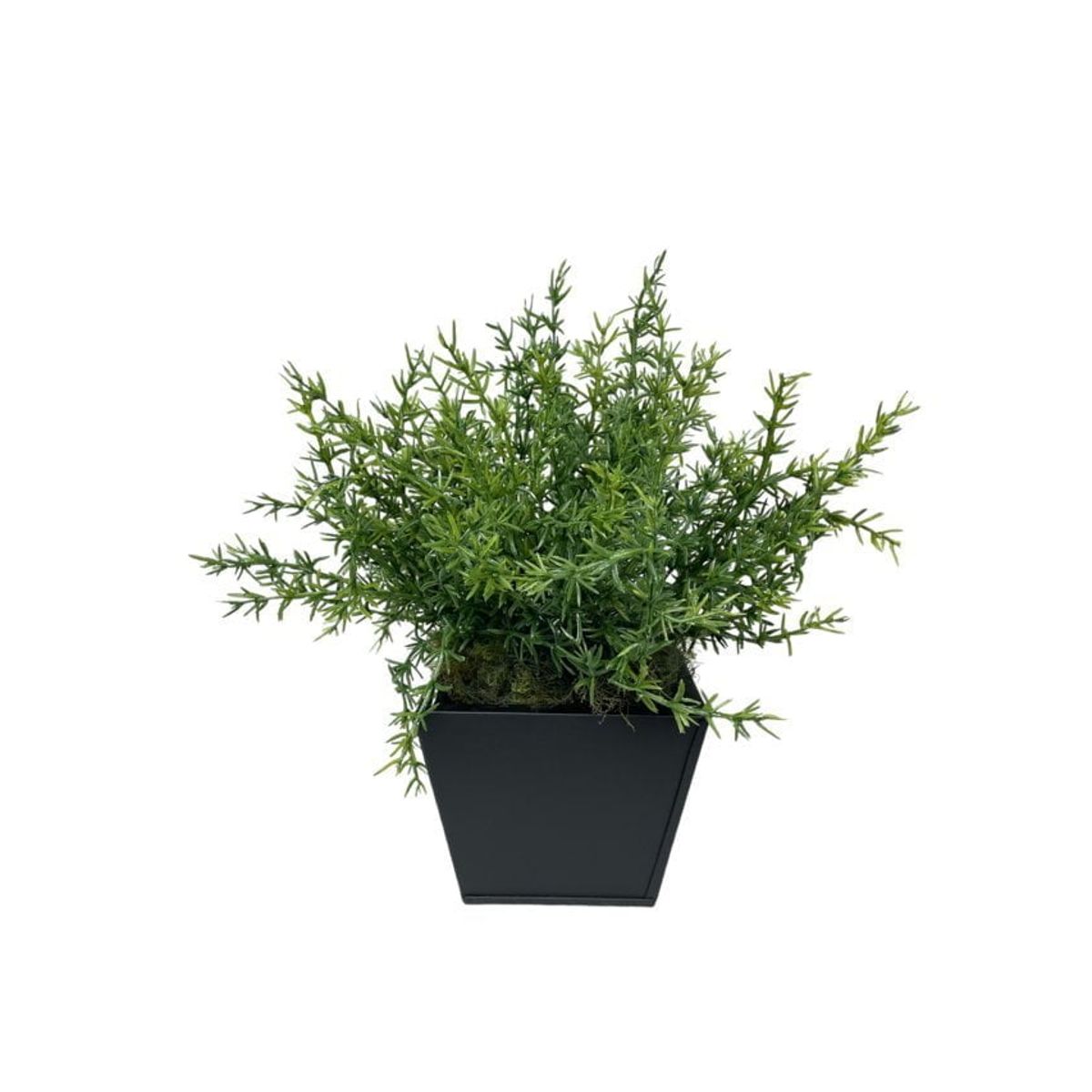 COREL - Arreglo De Arbusto Romero 35cm Artificial - Estilo Natural para Interiores y Vitrinas