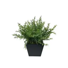 COREL - Arreglo De Arbusto Romero 35cm Artificial - Estilo Natural para Interiores y Vitrinas